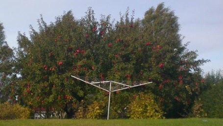 20111022-145400.jpg