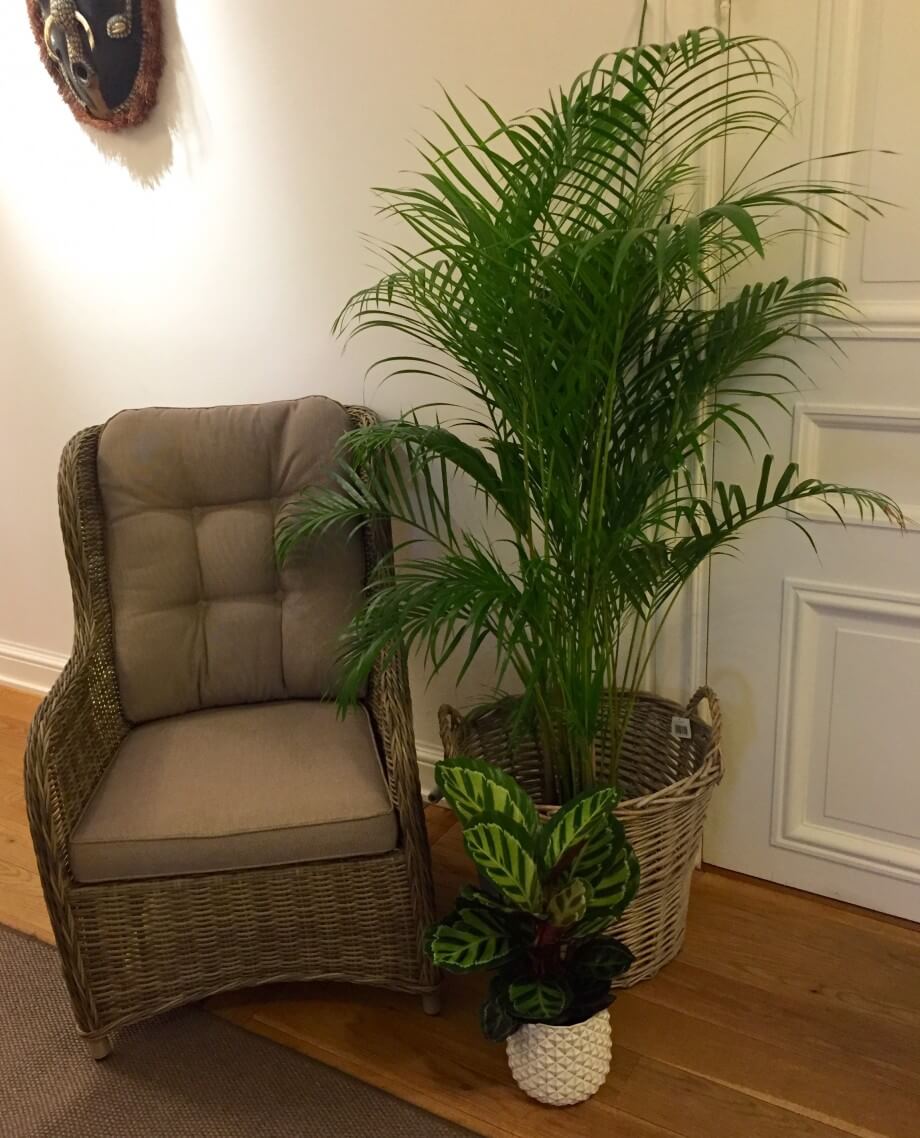 Img 1410 e1448867222814.jpg